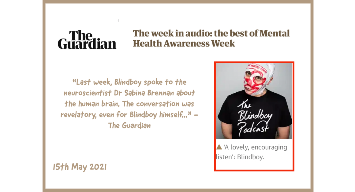 The Guardian Blindboy