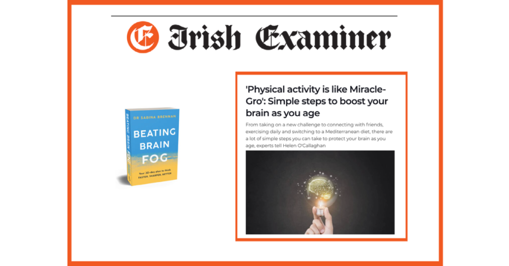 Irish Examiner Clip